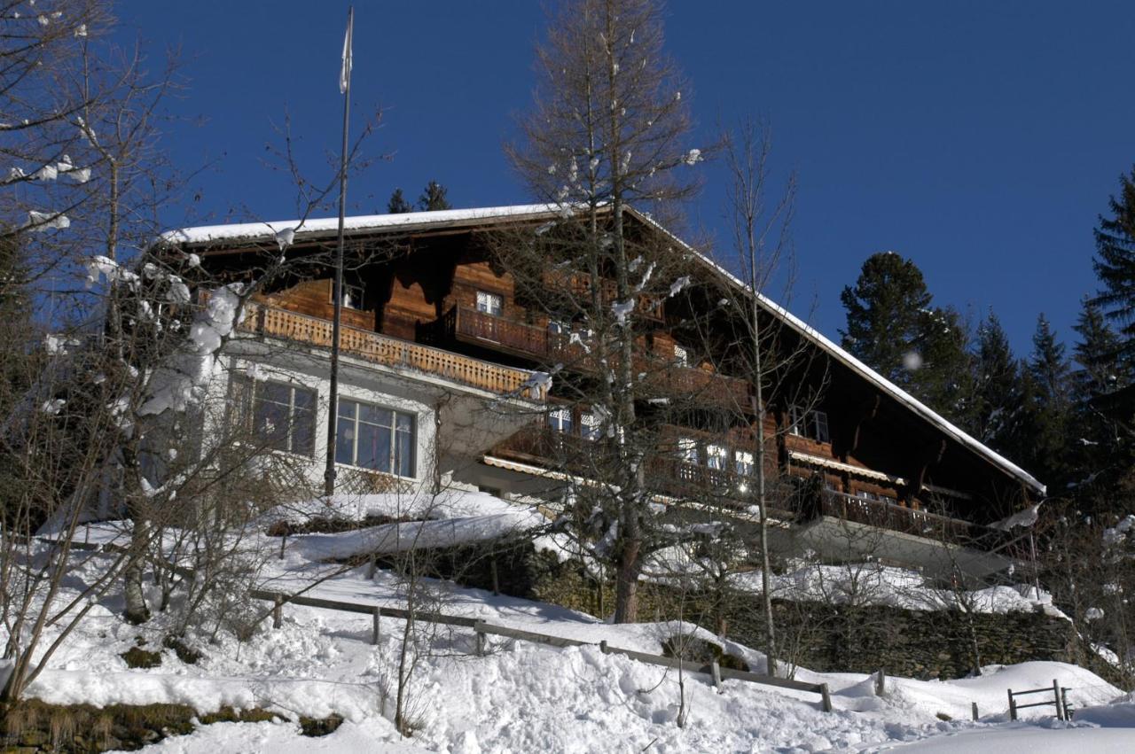 Auberge de jeunesse Youth *