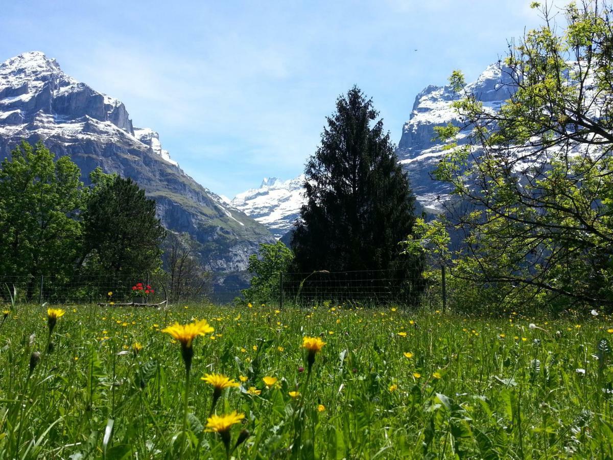 Auberge de jeunesse Youth Grindelwald